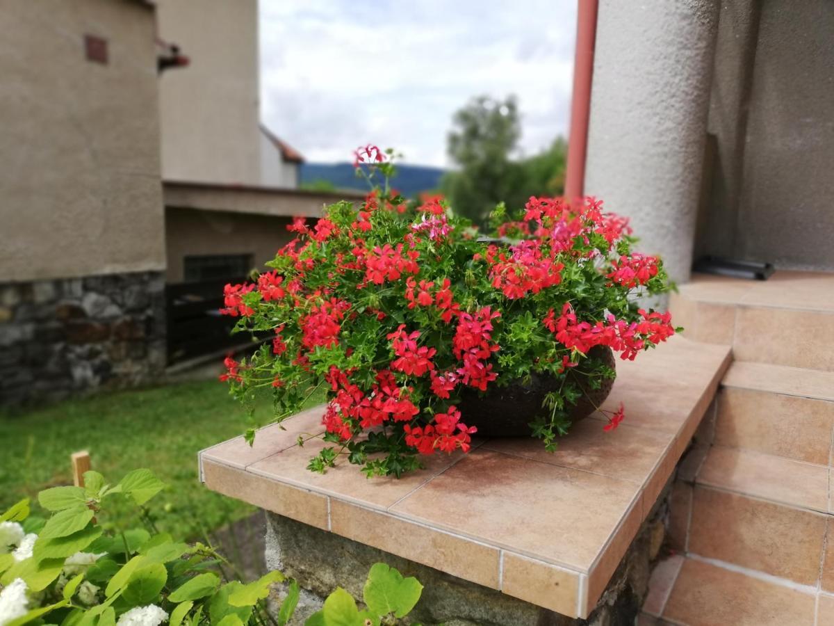 Český Krumlov Villa Oliva מראה חיצוני תמונה