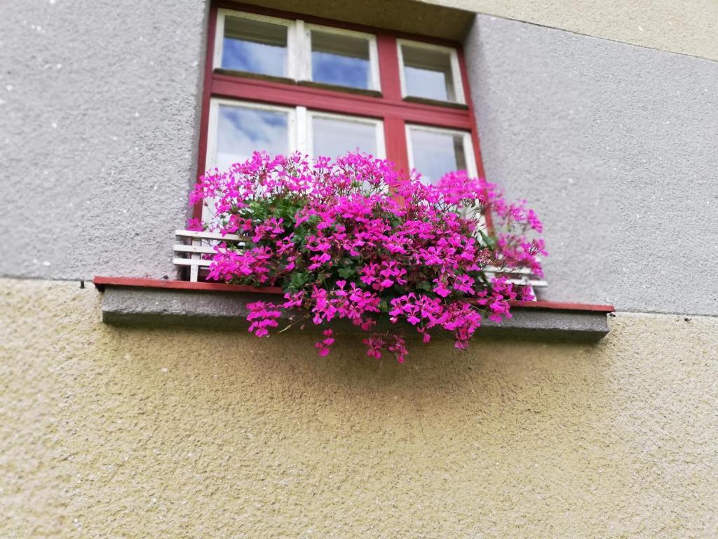 Český Krumlov Villa Oliva מראה חיצוני תמונה